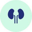 kidney-test-sample-collection.png